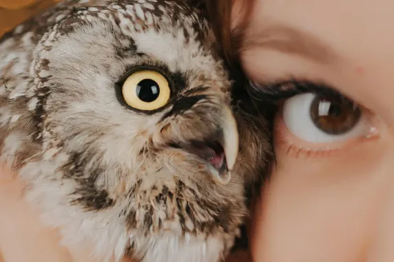 VegasWild Kasyno Wsparcie